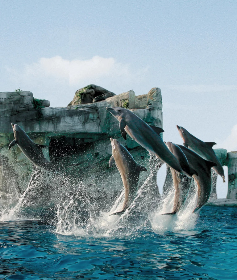 media.Slide_Oltremare_1GrandHotelDesBains_Riccione