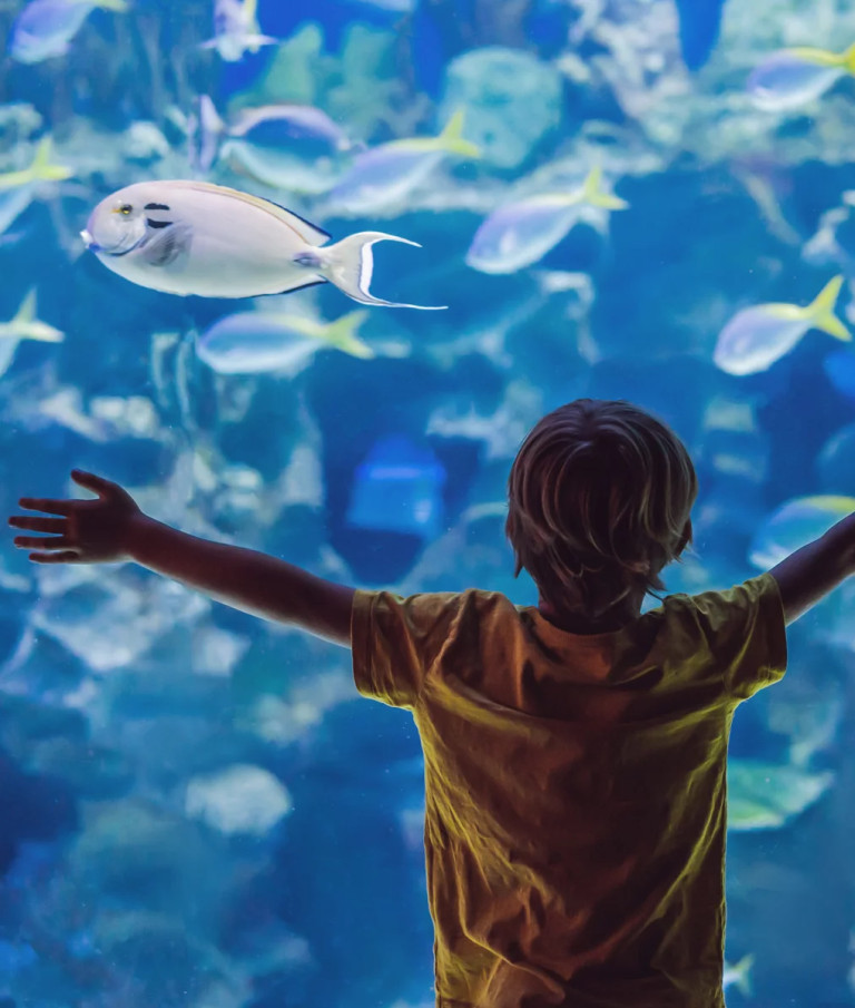 media.Slide_Acquario_1GrandHotelDesBains_Riccione