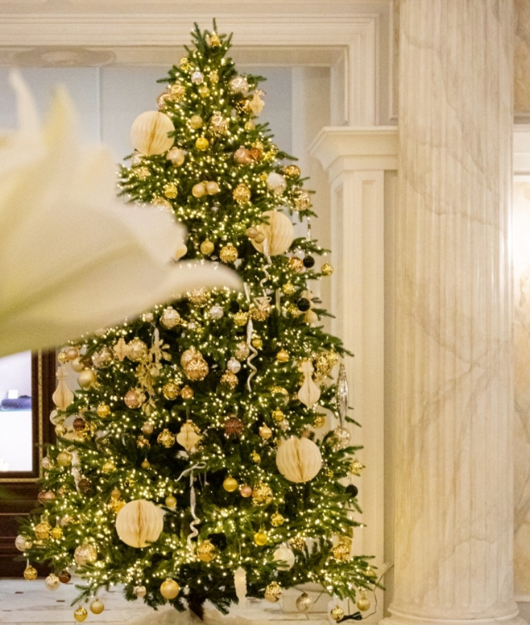 media.post-ghb-albero 1